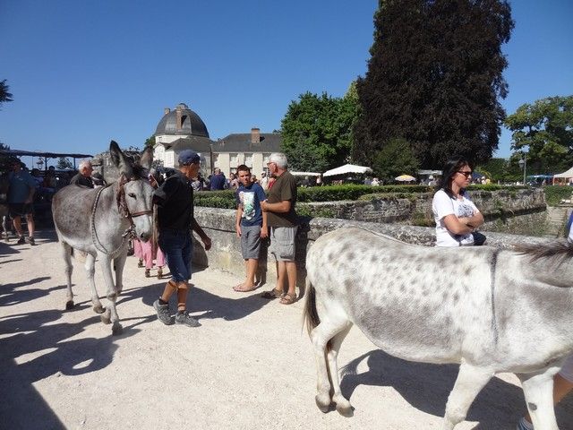 fete ane 2018 (57).JPG